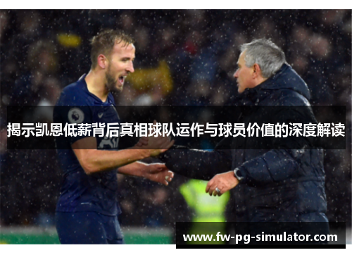 揭示凯恩低薪背后真相球队运作与球员价值的深度解读 揭示凯恩低薪背后真相球队运作与球员价值的深度解读