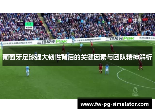 葡萄牙足球强大韧性背后的关键因素与团队精神解析